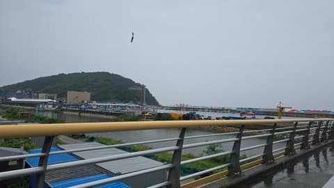 해파랑길29코스 사진 6