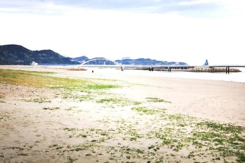 해파랑길32코스 사진 2