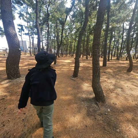 해파랑길45코스 사진 2