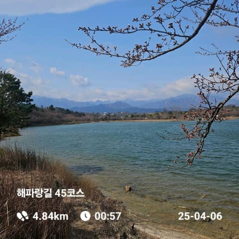 해파랑길45코스 사진 4