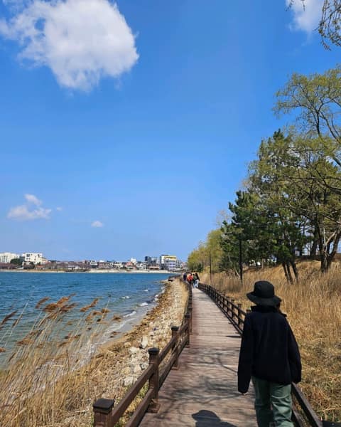 해파랑길45코스 사진 10