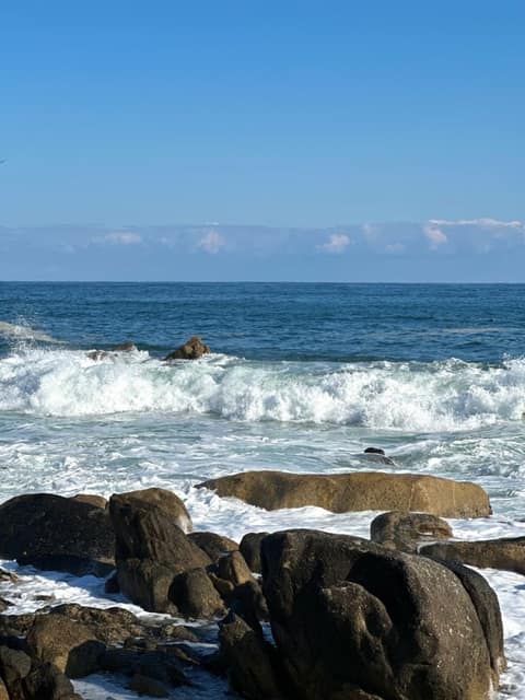 해파랑길41코스 사진 4