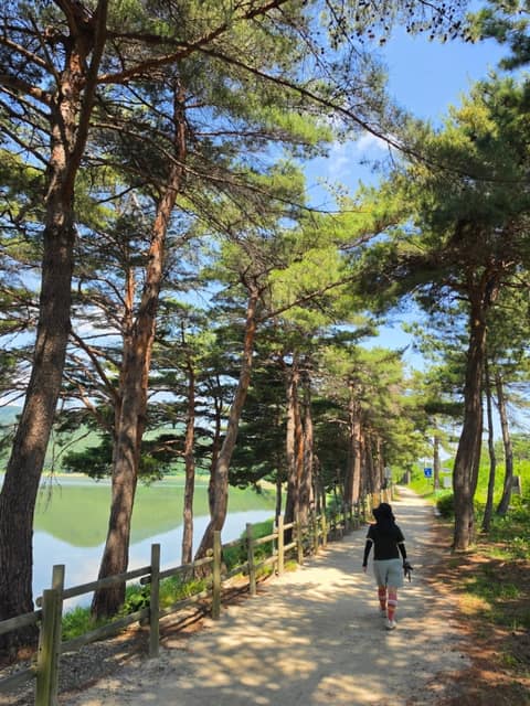 해파랑길47코스 사진 3