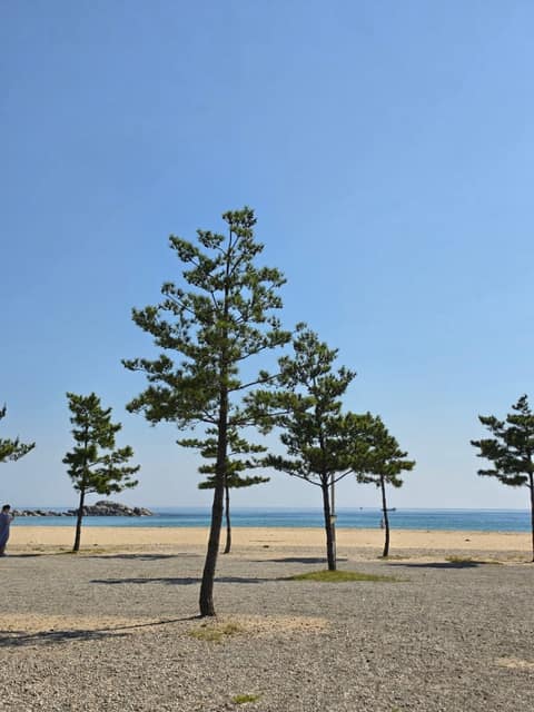 해파랑길47코스 사진 4