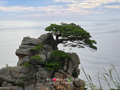 해파랑길42코스 사진 9