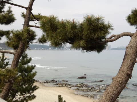 해파랑길44코스 사진 3