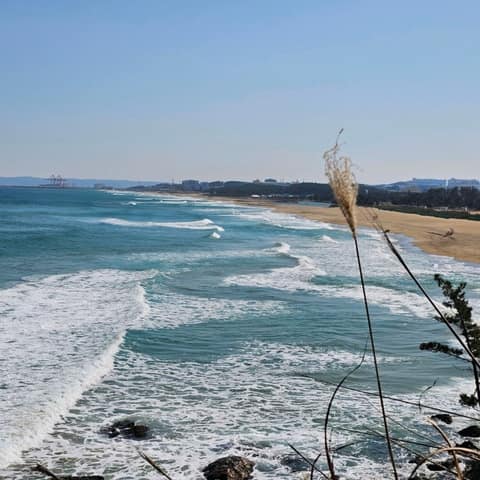 해파랑길17코스 사진 8