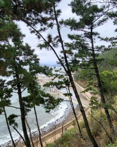 해파랑길16코스 사진 7