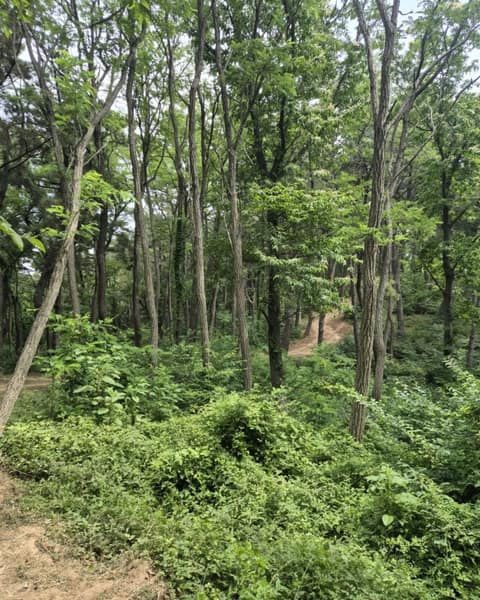 해파랑길20코스 사진 2