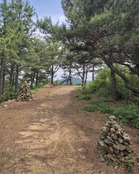 해파랑길20코스 사진 7