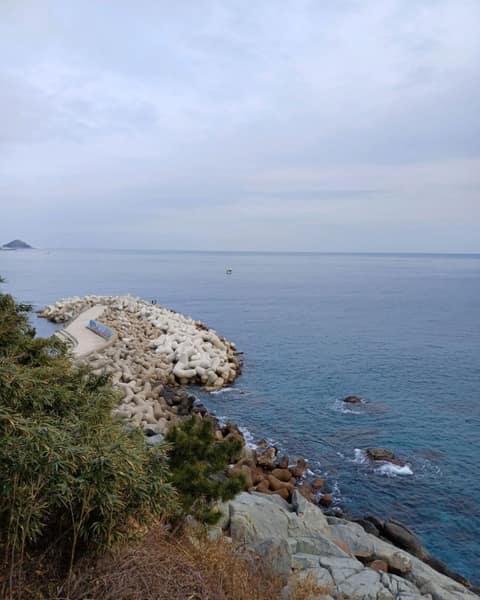 해파랑길21코스 사진 5