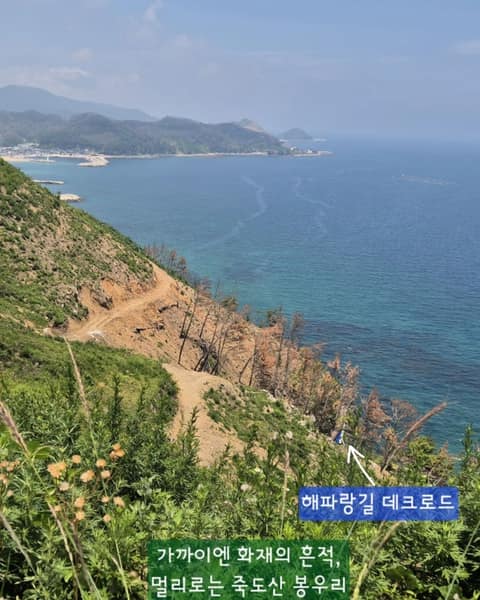 해파랑길21코스 사진 6