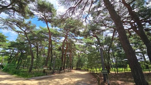 해파랑길26코스 사진 1