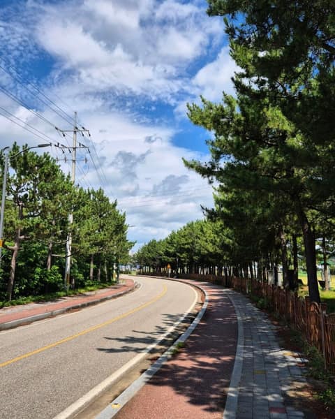 해파랑길26코스 사진 3
