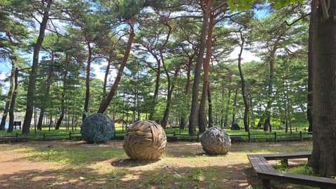 해파랑길26코스 사진 5