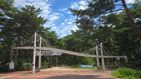 해파랑길26코스 사진 6