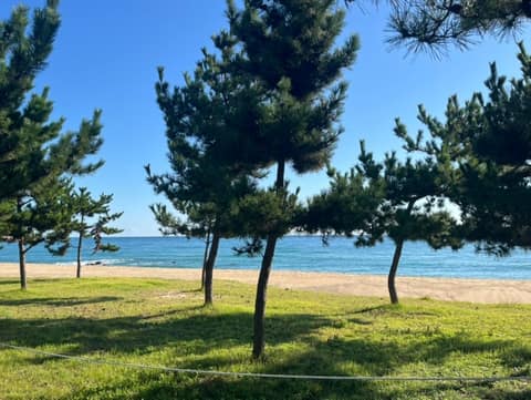 해파랑길24코스 사진 1
