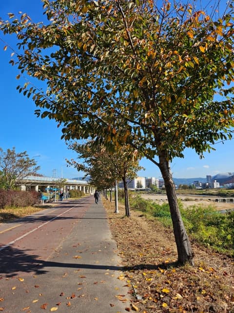 해파랑길7코스 사진 2
