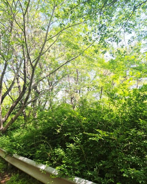 해파랑길8코스 사진 1