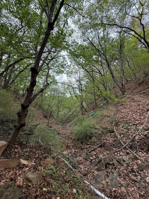 해파랑길8코스 사진 3