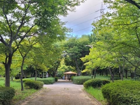 해파랑길6코스 사진 1