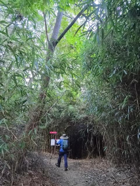 해파랑길6코스 사진 5