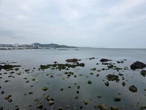 해파랑길4코스 사진 1