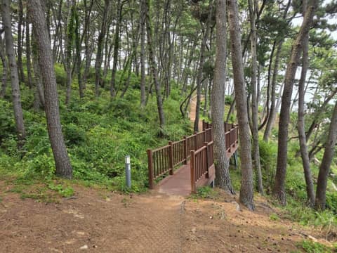 해파랑길4코스 사진 5