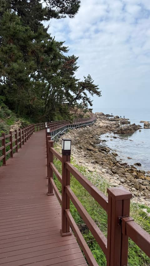 해파랑길4코스 사진 8