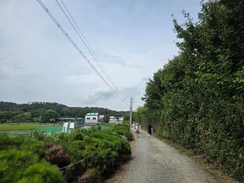 해파랑길5코스 사진 8