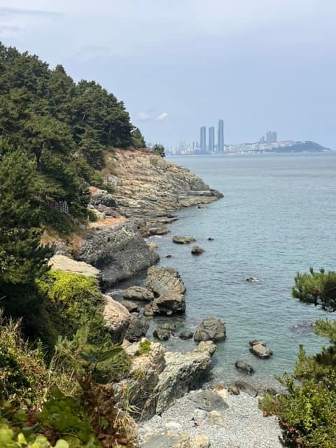 해파랑길1코스 사진 1