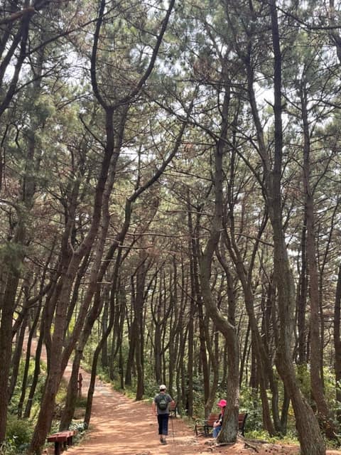 해파랑길1코스 사진 3