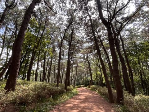 해파랑길1코스 사진 5