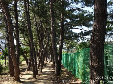 해파랑길33코스 사진 9
