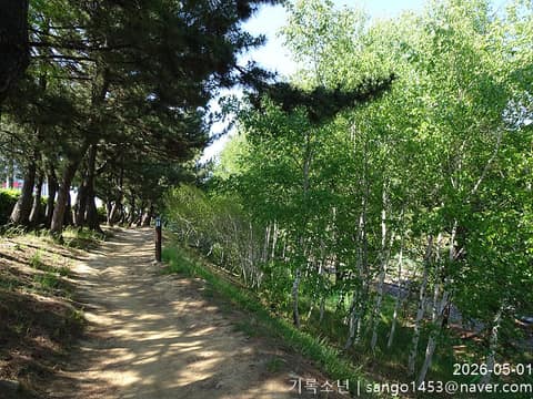 해파랑길33코스 사진 10