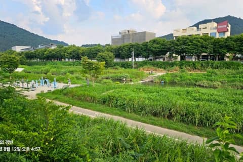 전주천길 사진 2