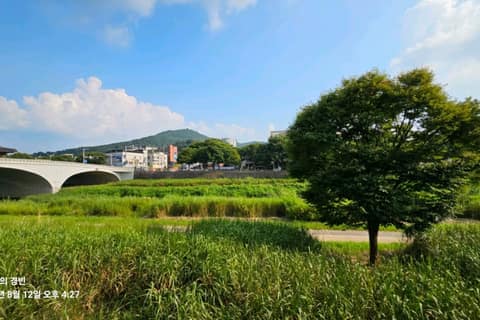 전주천길 사진 6