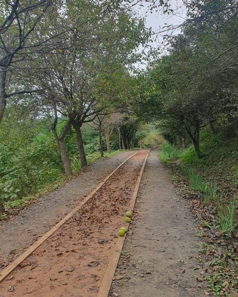 산막이옛길 사진 6