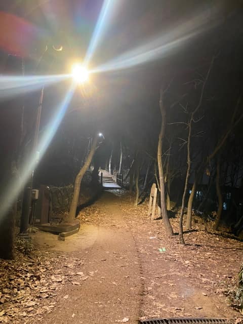 관악까치자연길 사진 1