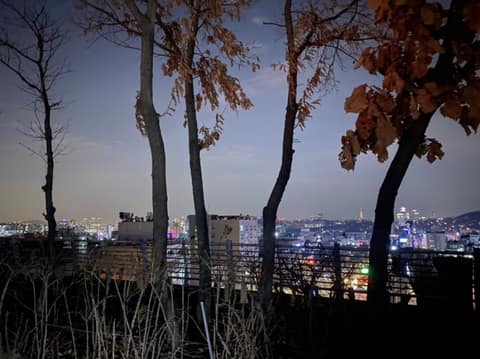 관악까치자연길 사진 2