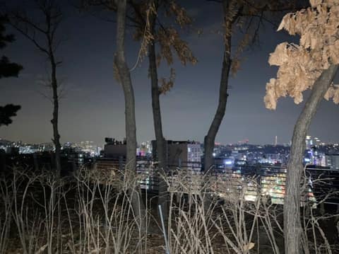 관악까치자연길 사진 5