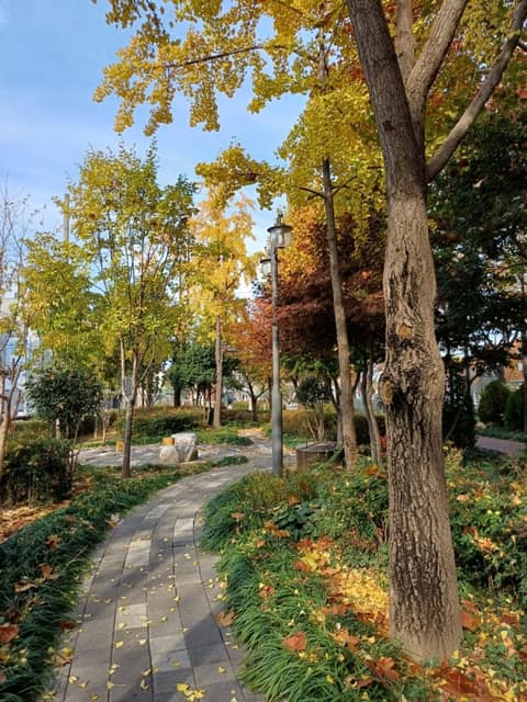 김광석다시그리기길 사진 1