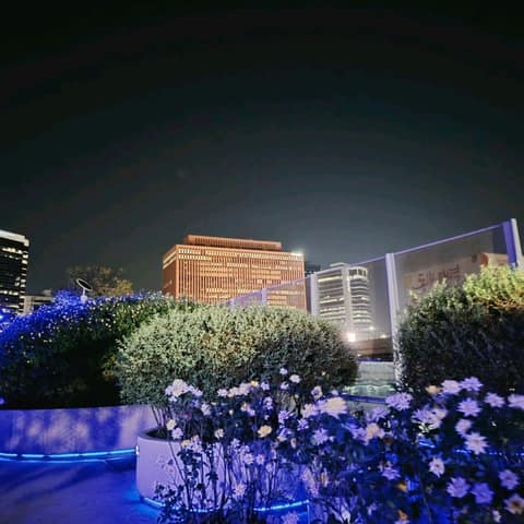 서울로7017 사진 8