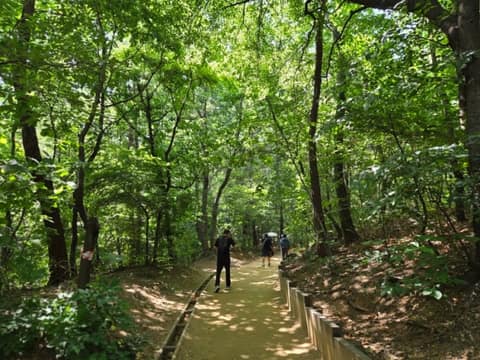 서울둘레길4코스(망우용마산) 사진 4