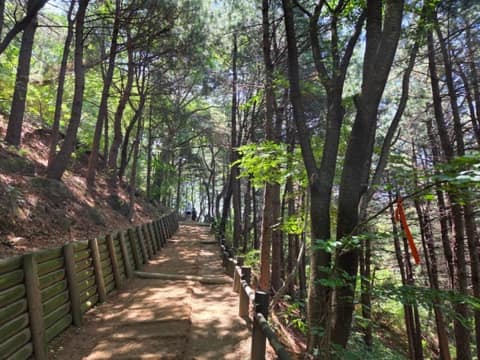 서울둘레길4코스(망우용마산) 사진 5