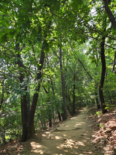 서울둘레길4코스(망우용마산) 사진 9