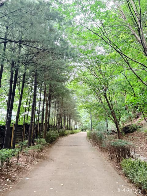서울둘레길8코스(장지탄천) 사진 2