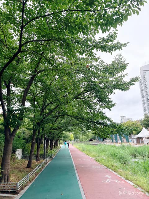 서울둘레길8코스(장지탄천) 사진 3