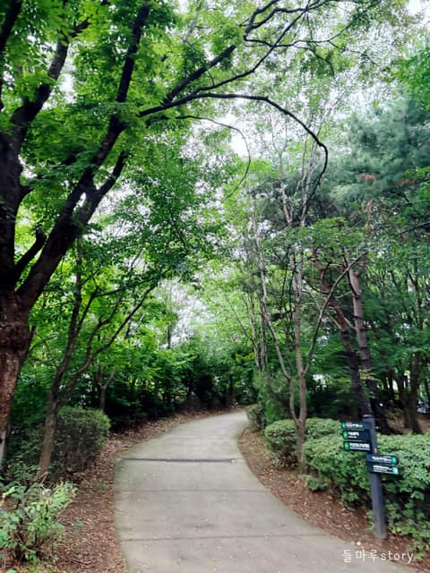 서울둘레길8코스(장지탄천) 사진 5