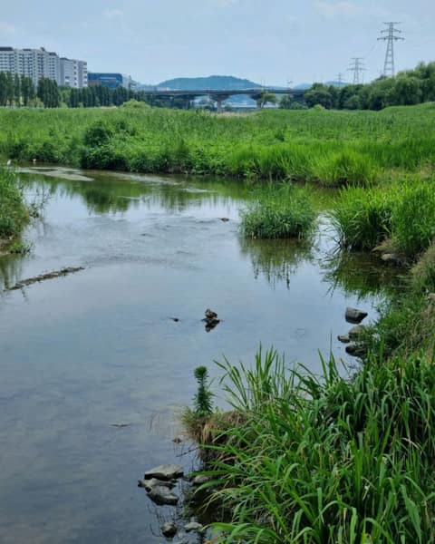 서울둘레길8코스(장지탄천) 사진 6